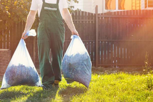 Best Dumpster Rental Services  in Mountain View, HI